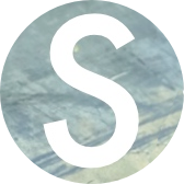 salvoweb.com-logo