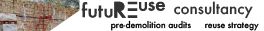 Futureuse consultancy on SalvoWEB inside pages 